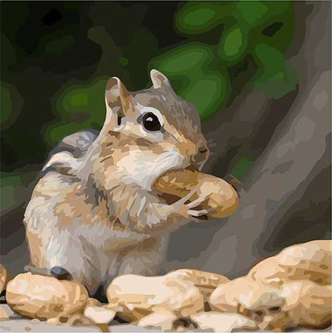 

Картина по номерам. Art Craft "Крошка бурундук" 40*40 см 11610-AC 392448