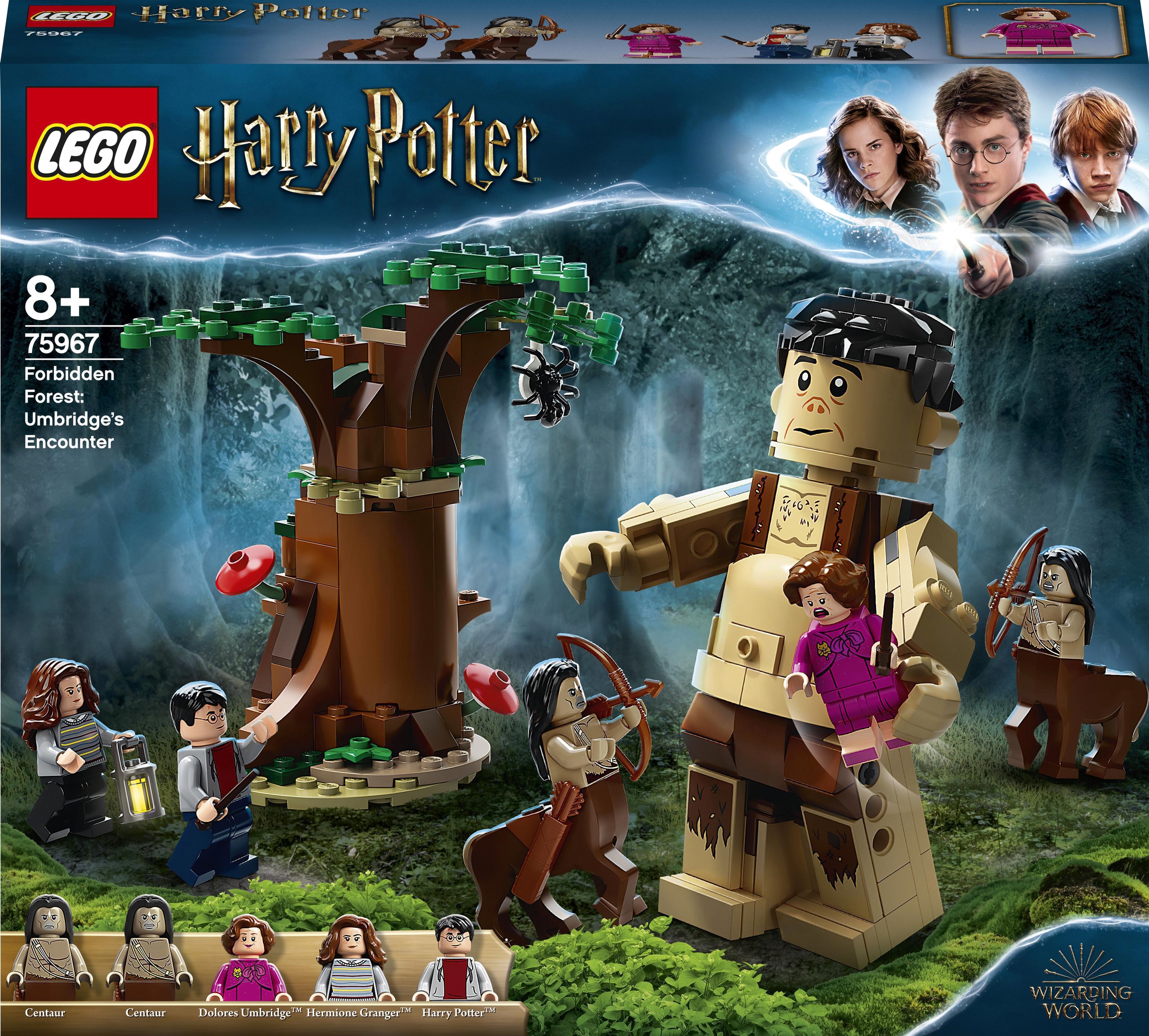 

Конструктор LEGO Harry Potter Запретный лес: Грохх и Долорес Амбридж 253 детали (75967)