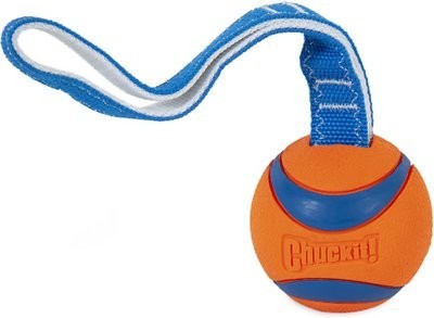 

Іграшка м'яч для собак Chuckit! Ultra Tug Ball L (7,6см)