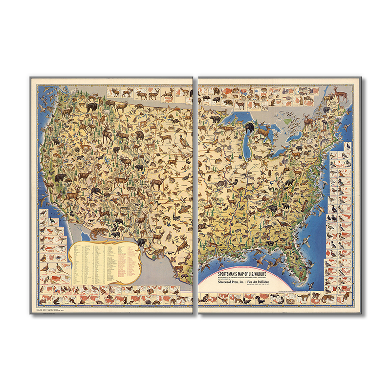 

Винтажная карта Artel «Карта США, где живут животные» 2 модуля 50x75 см