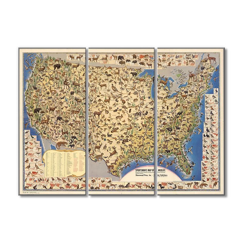

Винтажная карта Artel «Карта США, где живут животные» 3 модуля 80x120 см