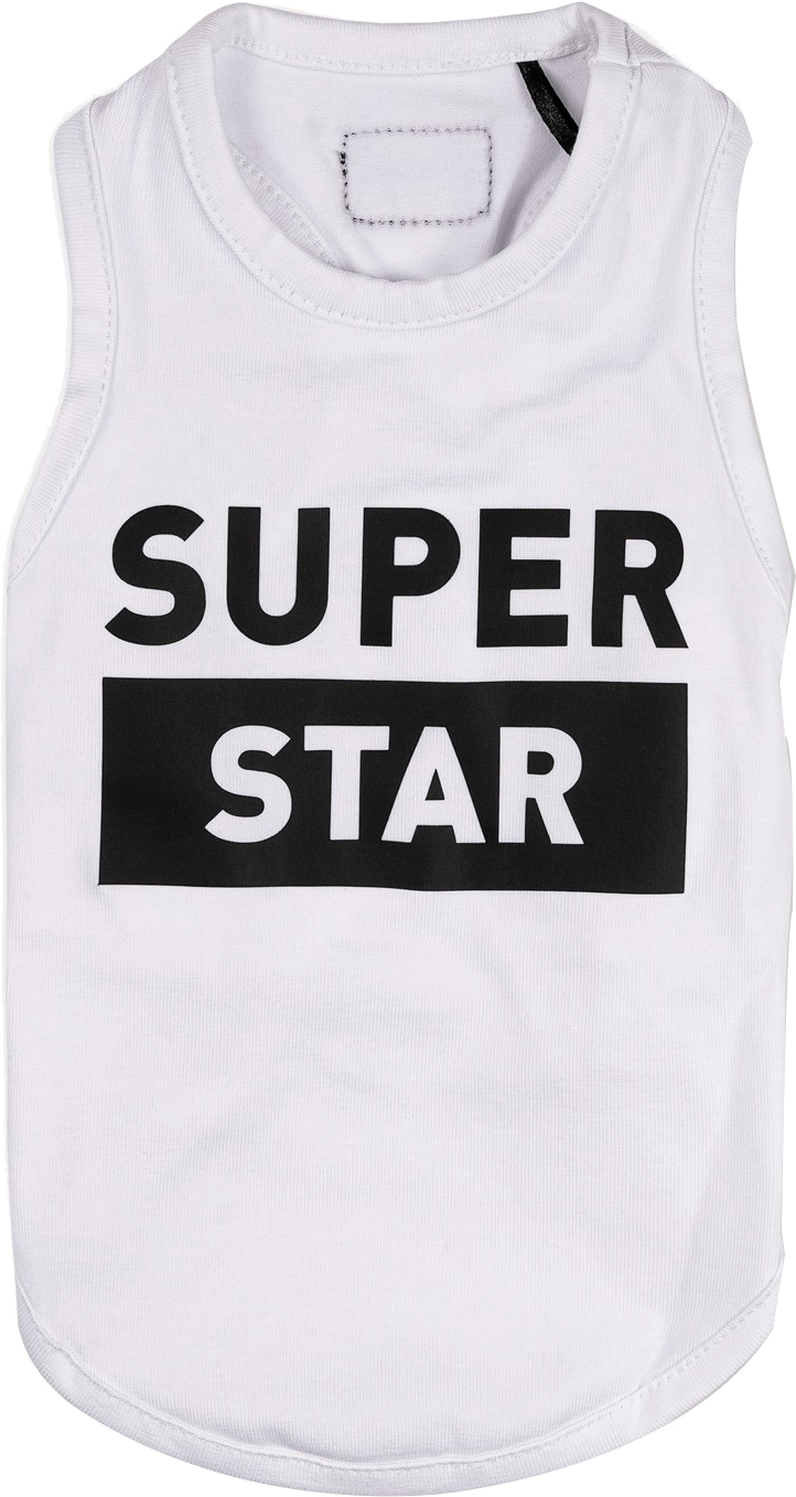 

Борцовка для собак Pet Fashion "Superstar" XS Белая (4823082421824)