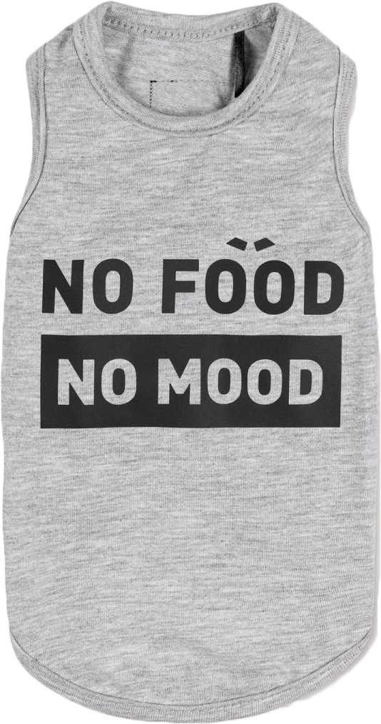 

Борцовка для собак Pet Fashion "No food-no mood" XS Меланж (4823082421701)