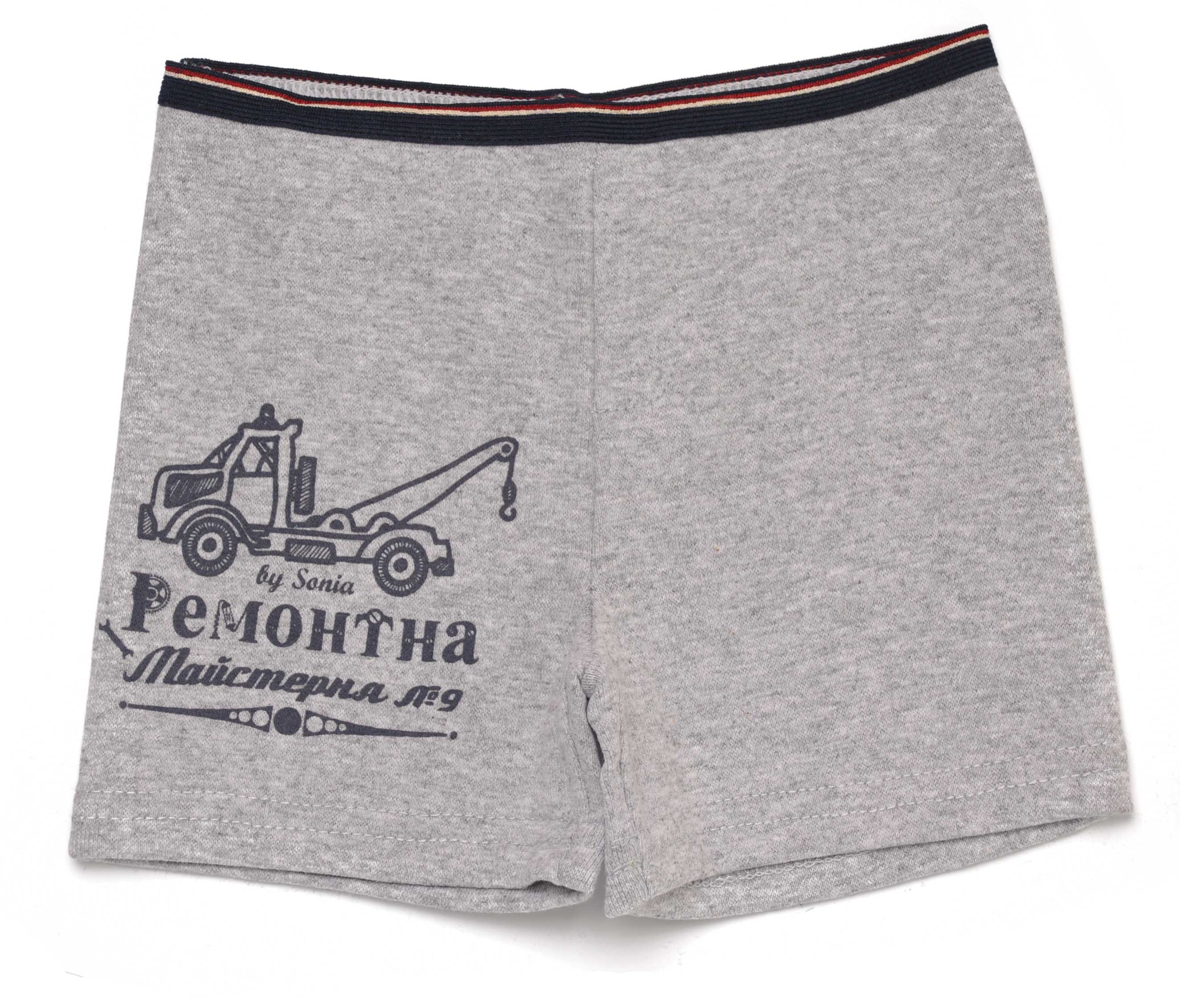 

Труси "Боксер-2"("Ремонт") Соня сірий 5151 310201, 110 (5 років)