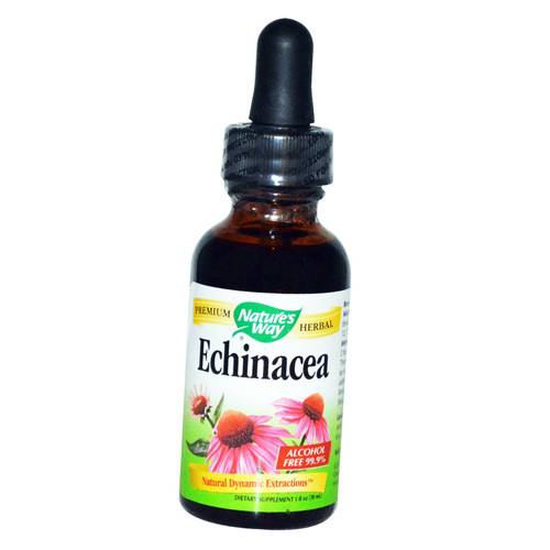 

Echinacea Nature's Way 30мл (71344034)
