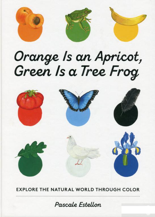 

Orange Is an Apricot, Green Is a Tree Frog (1295759)