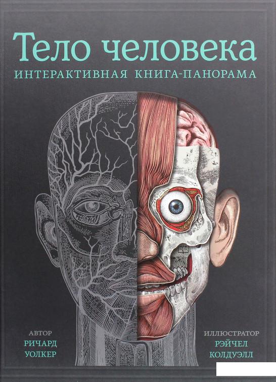 

Тело человека. Интерактивная книга-панорама (1136310)