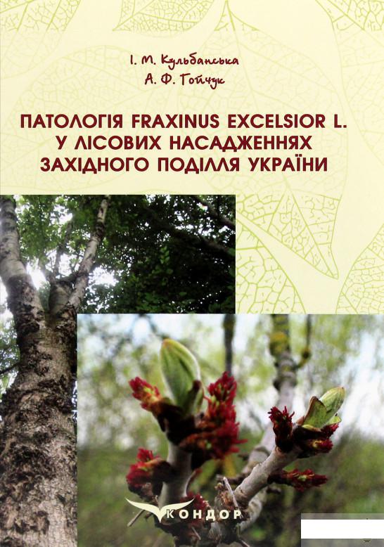 

Патологія Fraxinus Excelsior L. у лісових насадженнях Західного Поділля України (1293297)