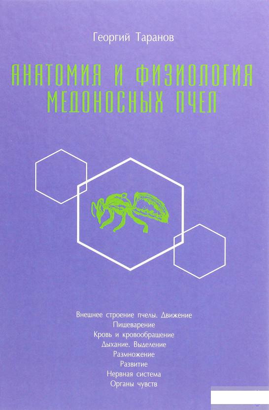 

Анатомия и физиология медоносных пчёл (1292900)