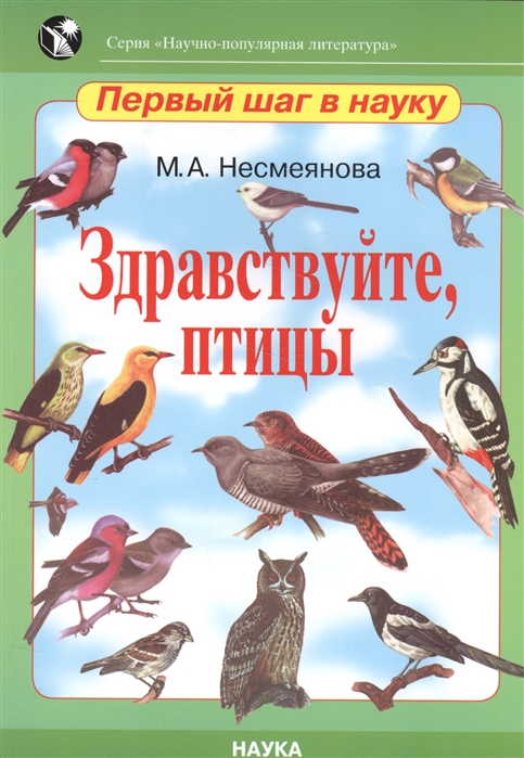 

Здравствуйте, птицы (1595490)