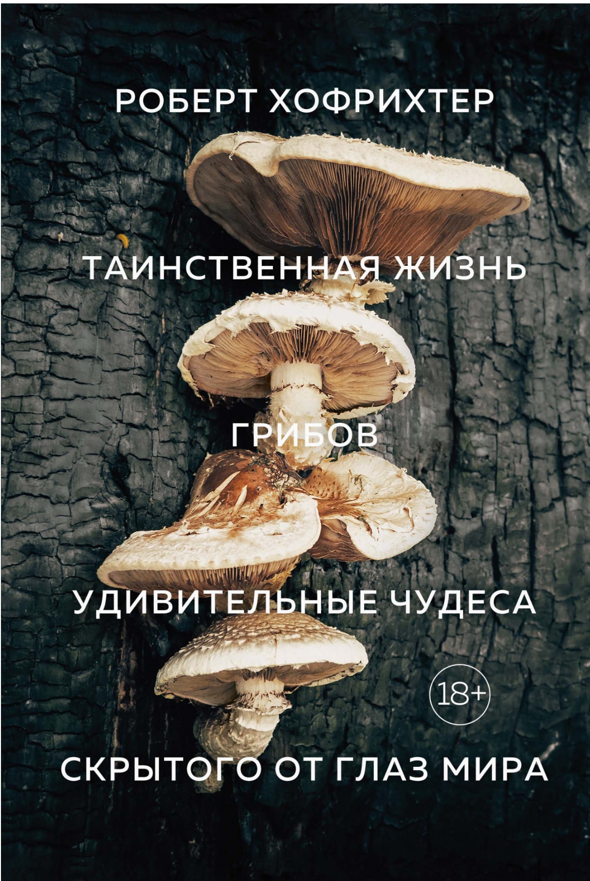

Таинственная жизнь грибов. Удивительные чудеса скрытого от глаз мира
