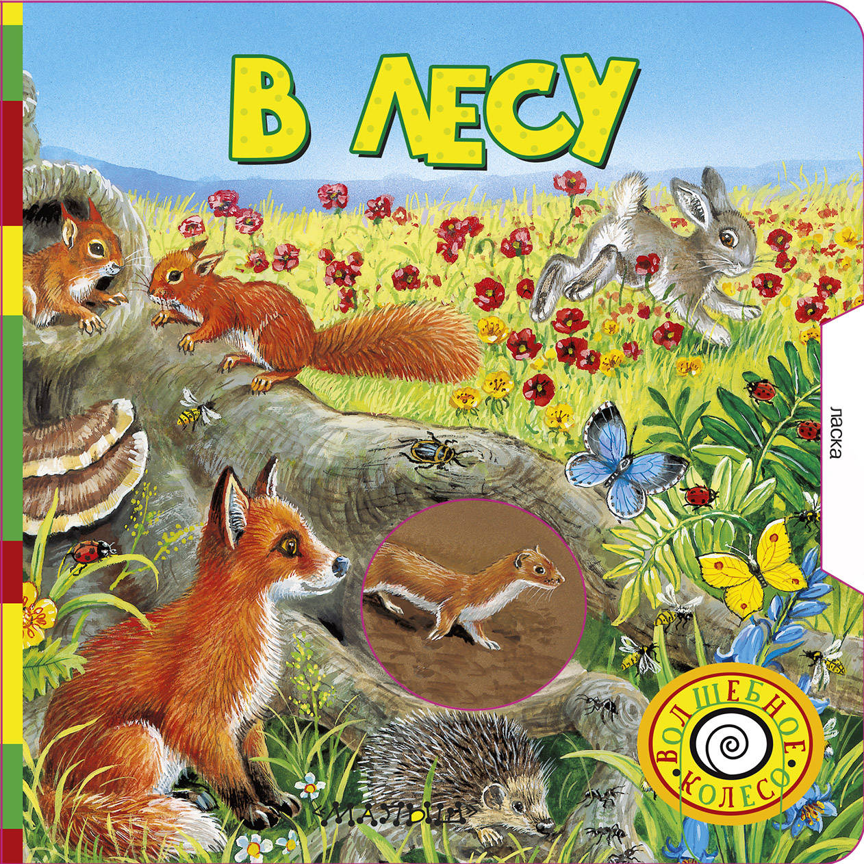 

В лесу (4246547)