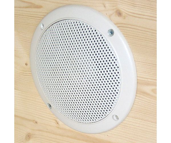 

Музыкальная колонка в сауну Visaton 80 W