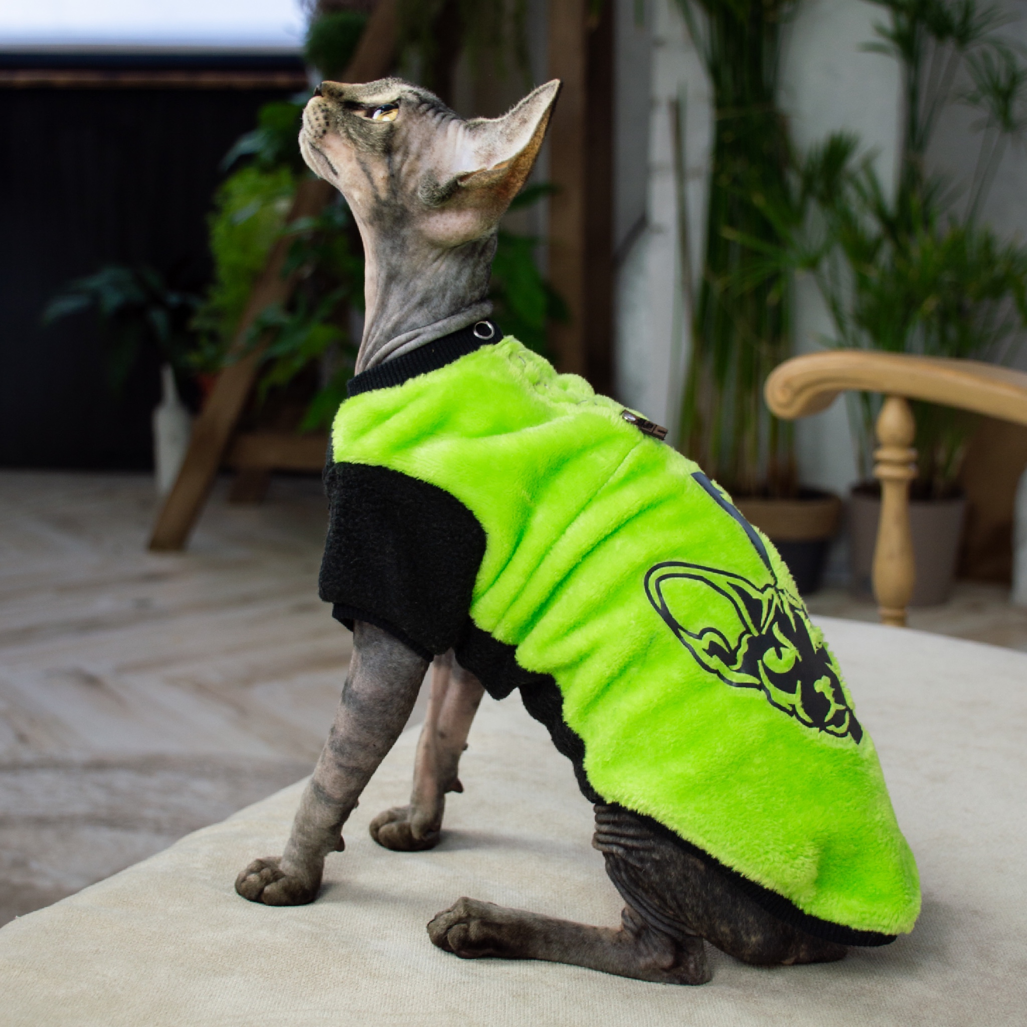 

Кофта для кошки Style Pets FaceSPS (KM/FSP/S/br) M-