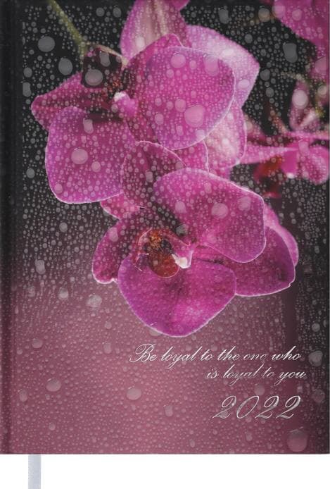 

Ежедневник датированный Buromax Posh A5 на 336 страниц Бордовый (BM.2118-13)