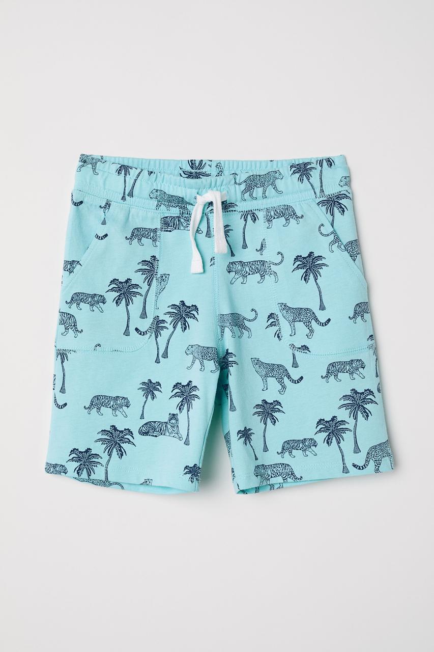

Голубые детские шорты H&M с рисунком art722137 (размер 104)