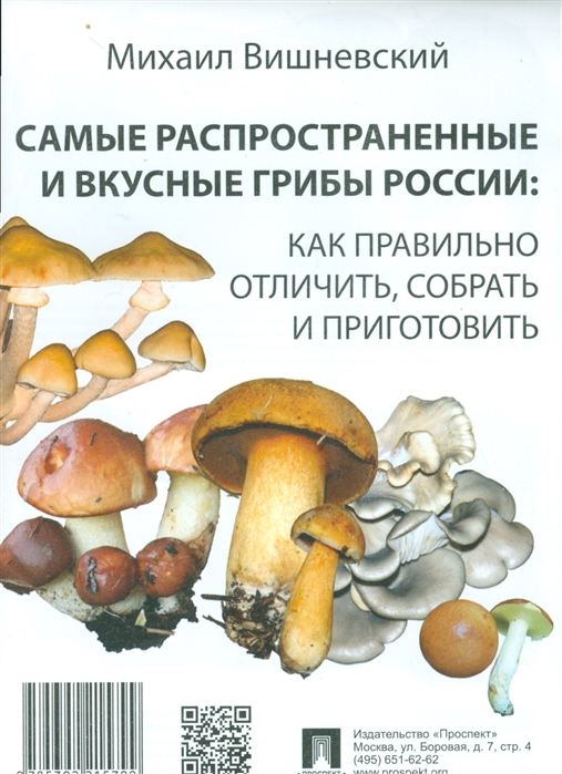 

Самые распространенные и вкусные грибы России: как правильно отличить, собрать и приготовить (1791371)