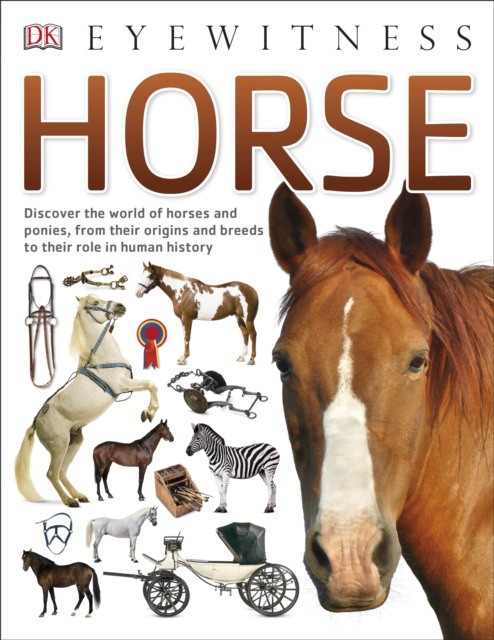 

Horse (4351252)