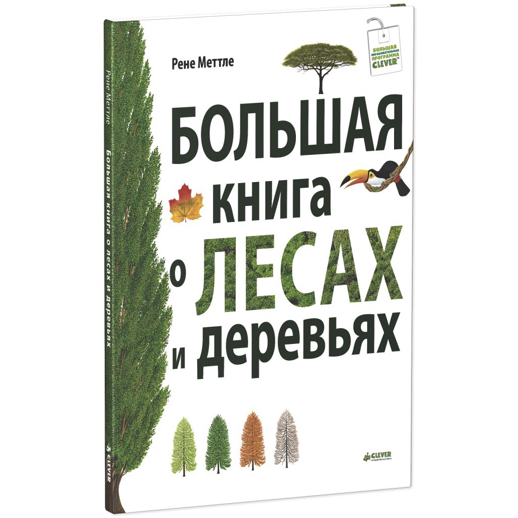 Книга лес