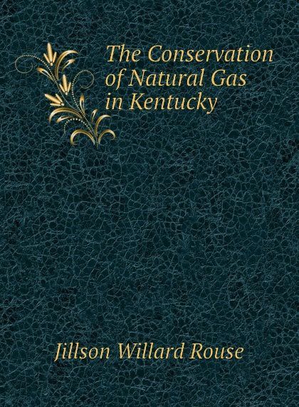 

The Conservation of Natural Gas in Kentucky (1810731)