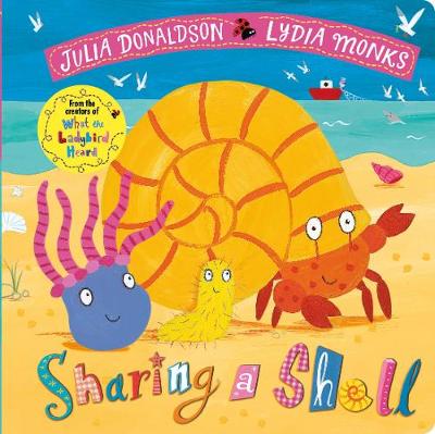 

Sharing a Shell (4072571)