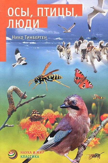 

Осы, птицы, люди