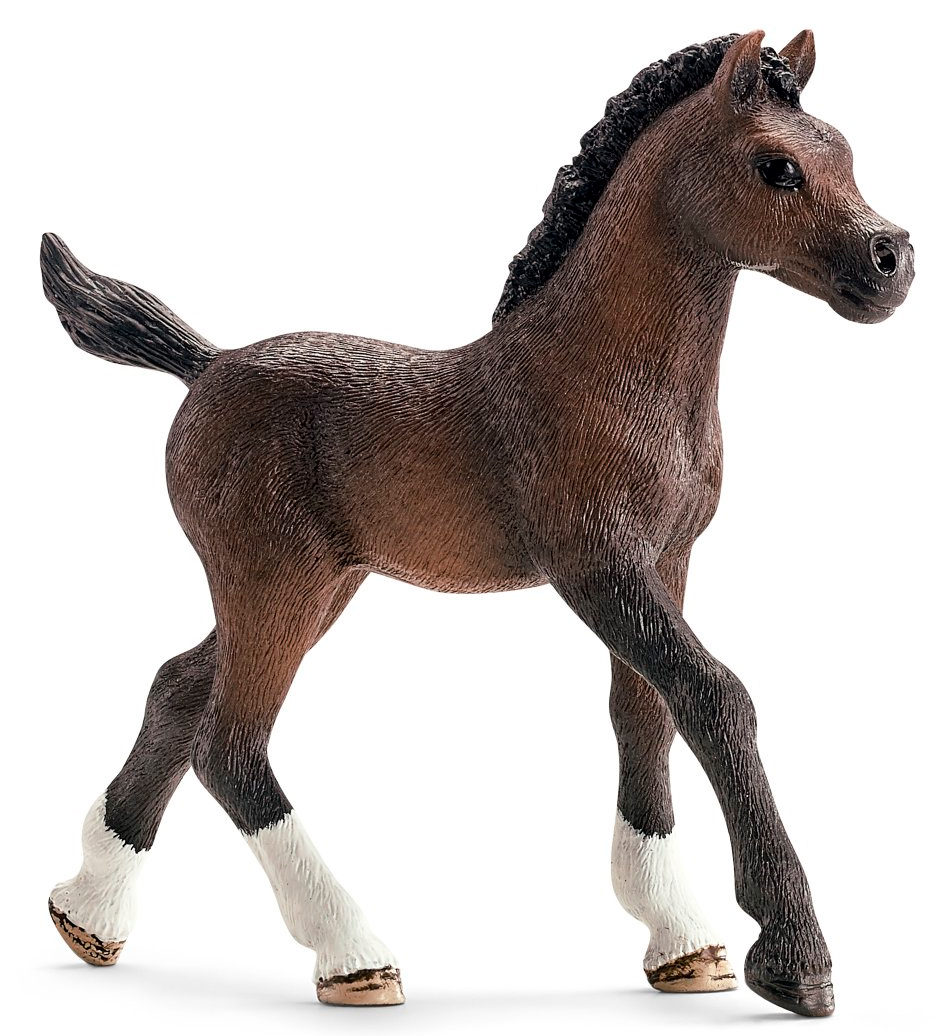

Арабский жеребенок, игрушка-фигурка, Schleich (12-7917)