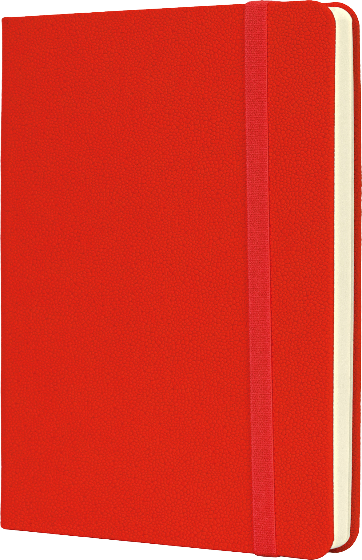 

Деловая записная книга Optima Namib A6 128 л Красная (O20387-03)
