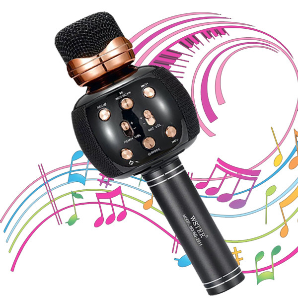 

Микрофон караоке DM Karaoke WS 2911 Черный