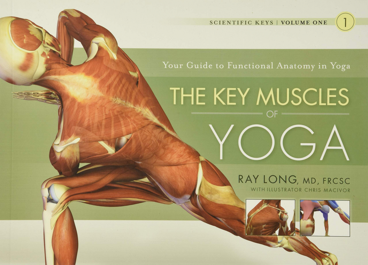 

Key Muscles of Yoga: Your Guide to Functional Anatomy in Yoga