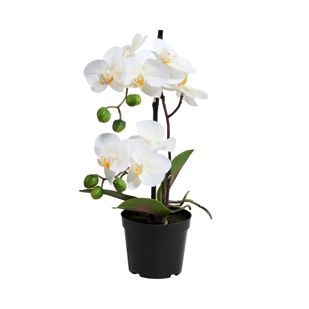 

Орхидея искусственная FLORISTA Белый 10213956
