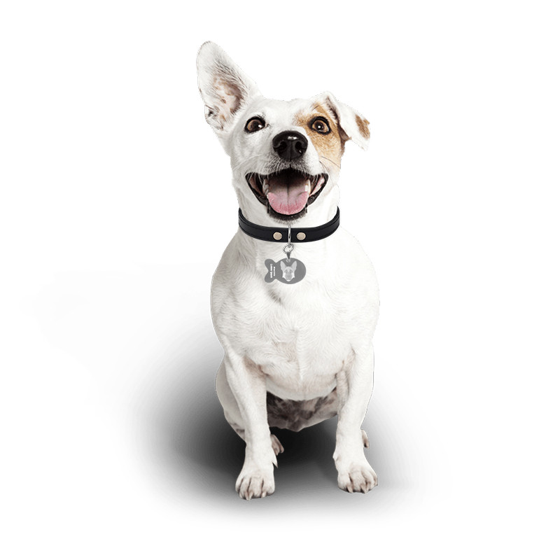 

Медальон-адресник на ошейник для домашних животных Manulife Рыба Silver 3,8 * 2,5 * 0,18 Услуга гравировки (F_5398-16015)