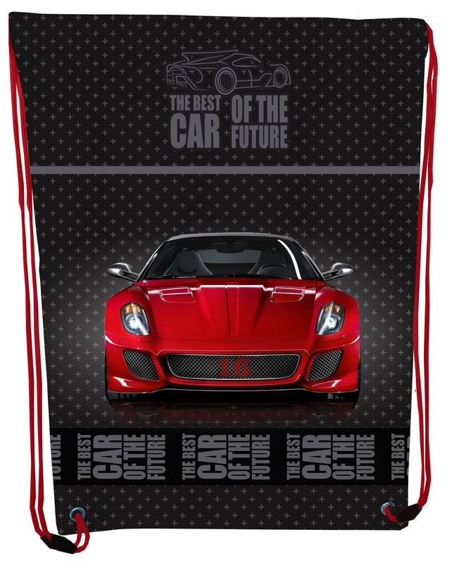 

Сумка для обуви CLASS Red Car 2131С 46*33см