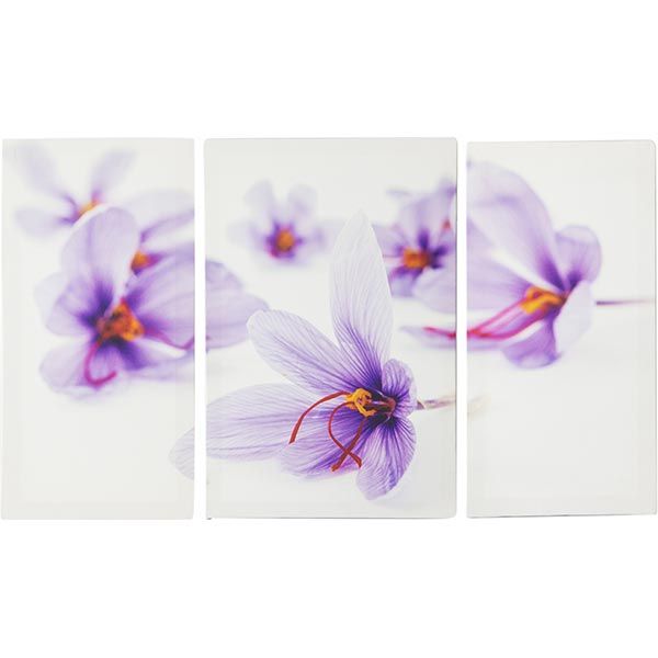 

Картина модульна Eclipse Крокуси 90 х 60 см (МК012)