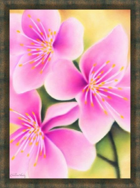 

Картина SvitArt 40 х 50 см