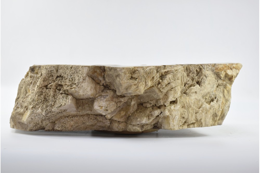 

Умивальник зі скамянілого дерева FOSSIL WOOD Industar s25-4084-1 56 х 44 см Асиметрична
