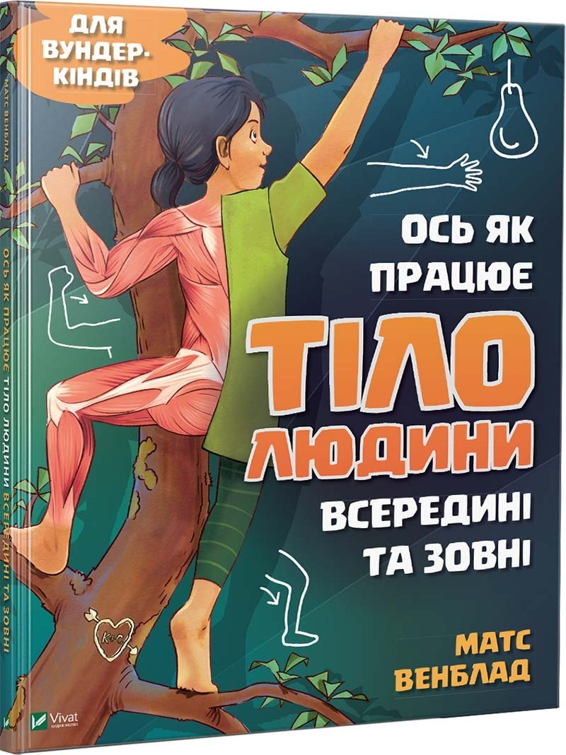

Ось як працює тіло людини всередині та зовні - Матс Венблад (9789669428776)