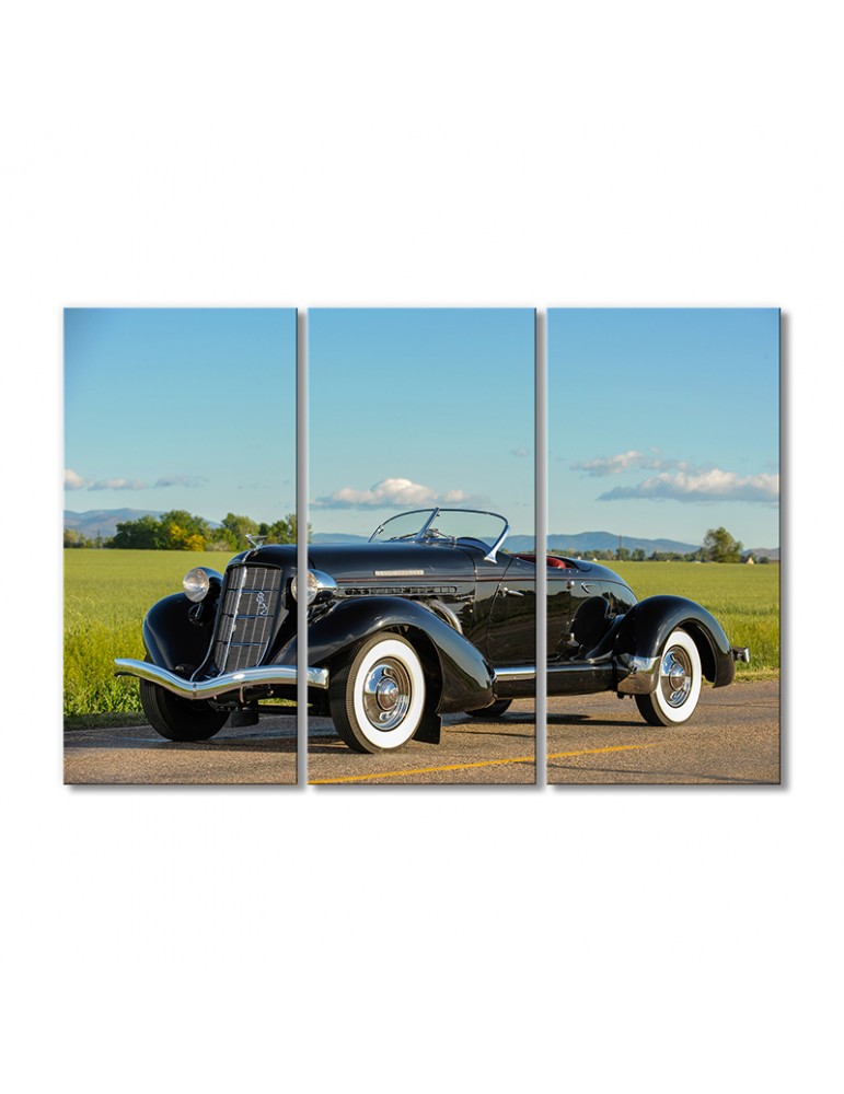 

Модульная картина Artel «1936 год Оберн 852 SC Лодочный Спидстер» 3 модуля 80x120 см