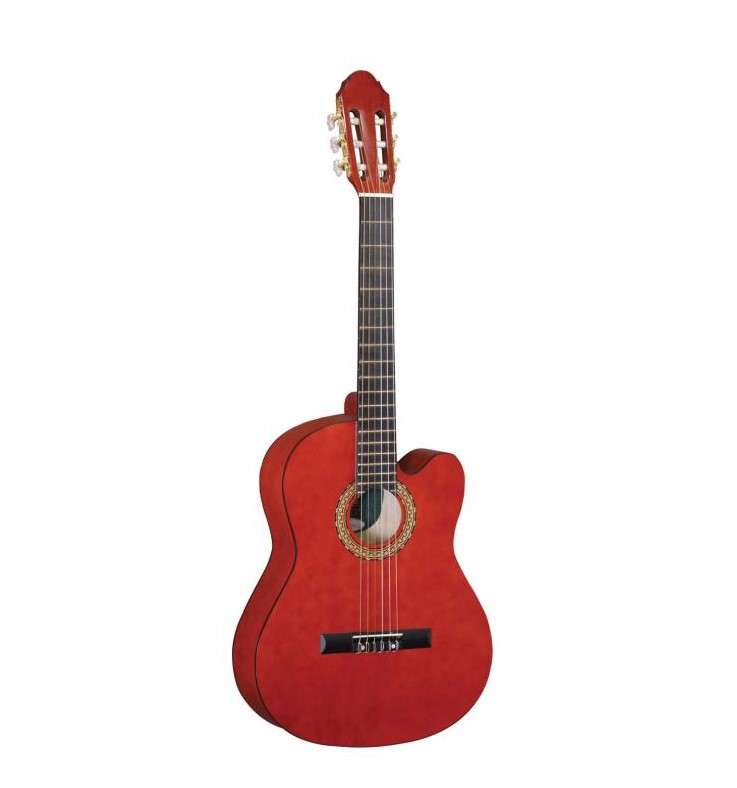 

Классическая гитара MAXTONE CGC3910C