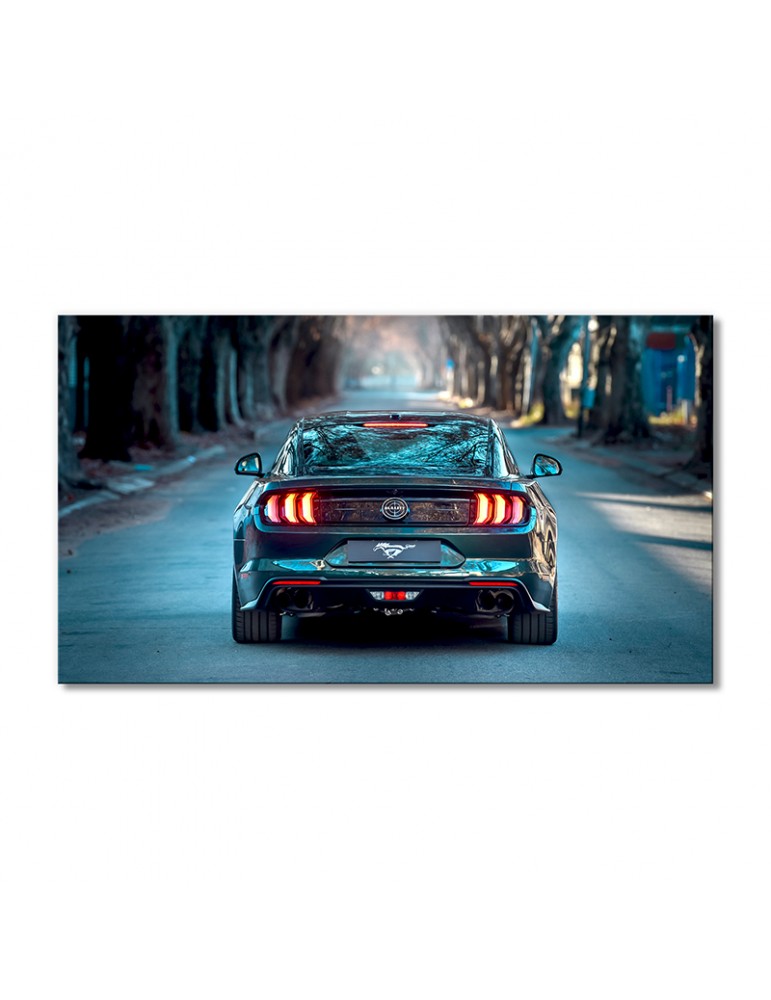 

Модульная картина Artel «Авто зеленый Форд Мустанг» 1 модуль 80x120 см