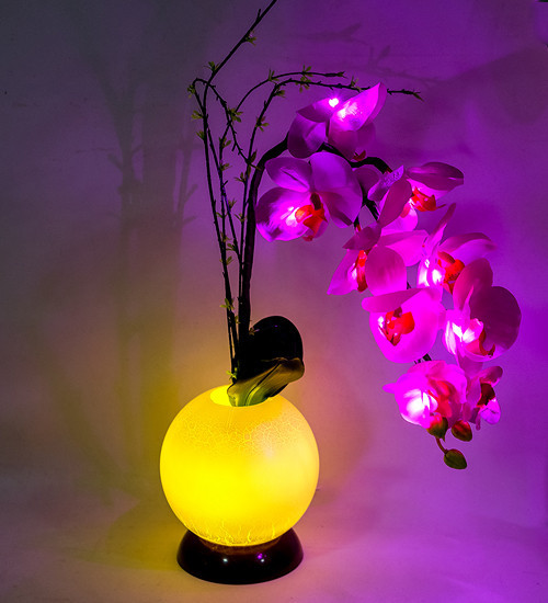 

Ночник Орхидеи с LED-подсветкой Bingju 1502469