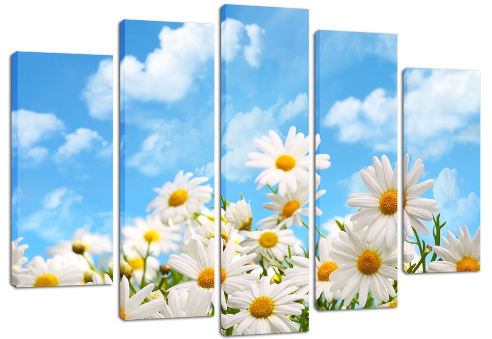 

Модульная картина на холсте из 5 частей DK Place 120x80 см (PLM5-115)