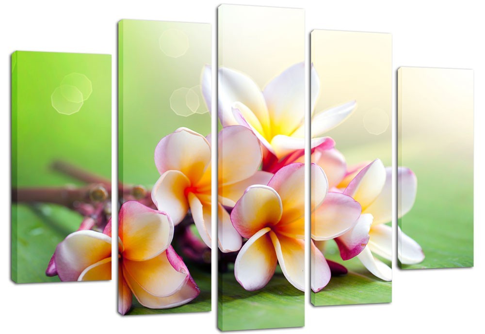 

Модульная картина на холсте из 5 частей DK Place 120x80 см (PLM5-11)