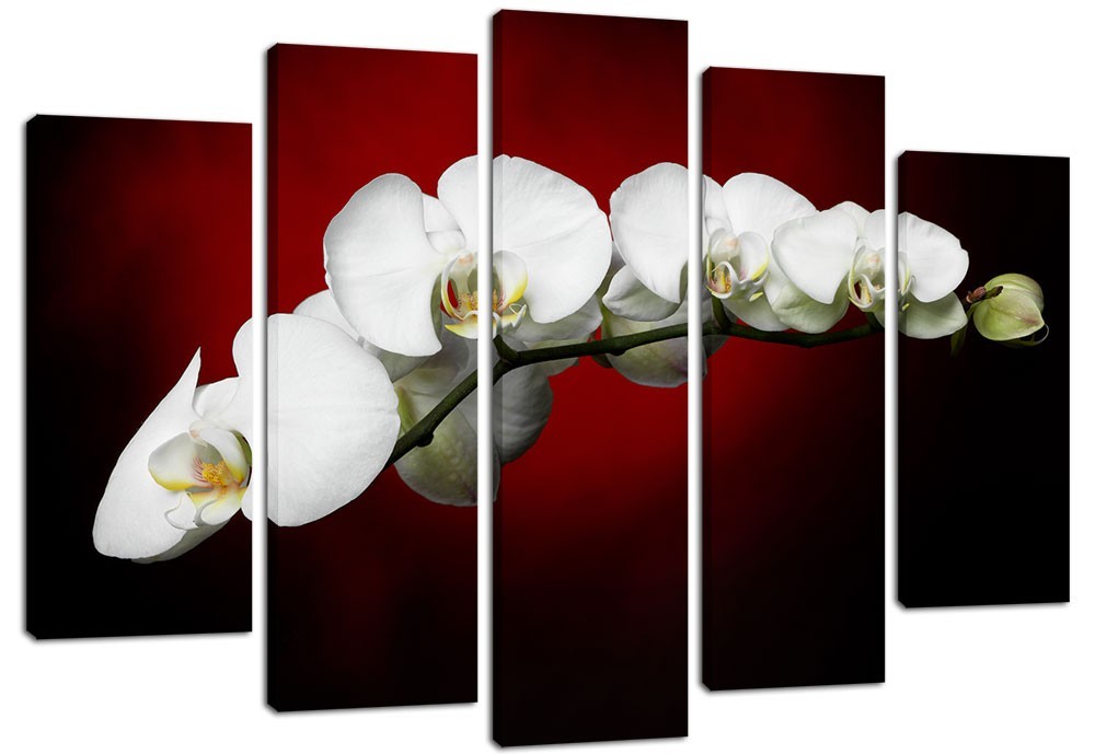 

Модульная картина на холсте из 5 частей DK Place 120x80 см (PLM5-18)