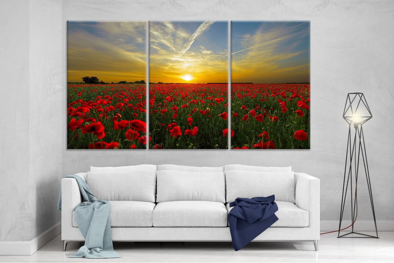 

Модульная картина на холсте DK Place из трех частей 167x99 см Поле Маков (XL43)