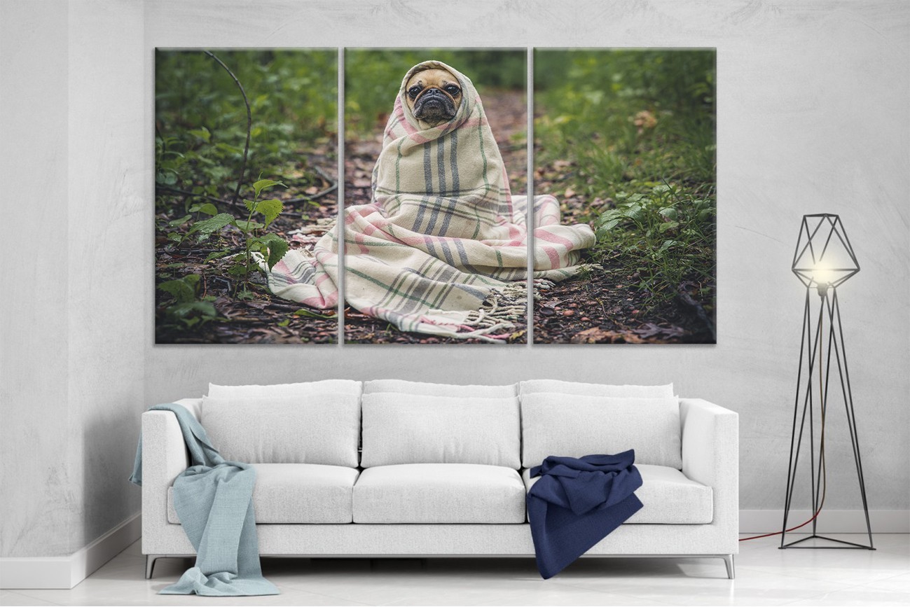 

Модульная картина на холсте DK Place из трех частей 167x99 см Мопс (XL27)