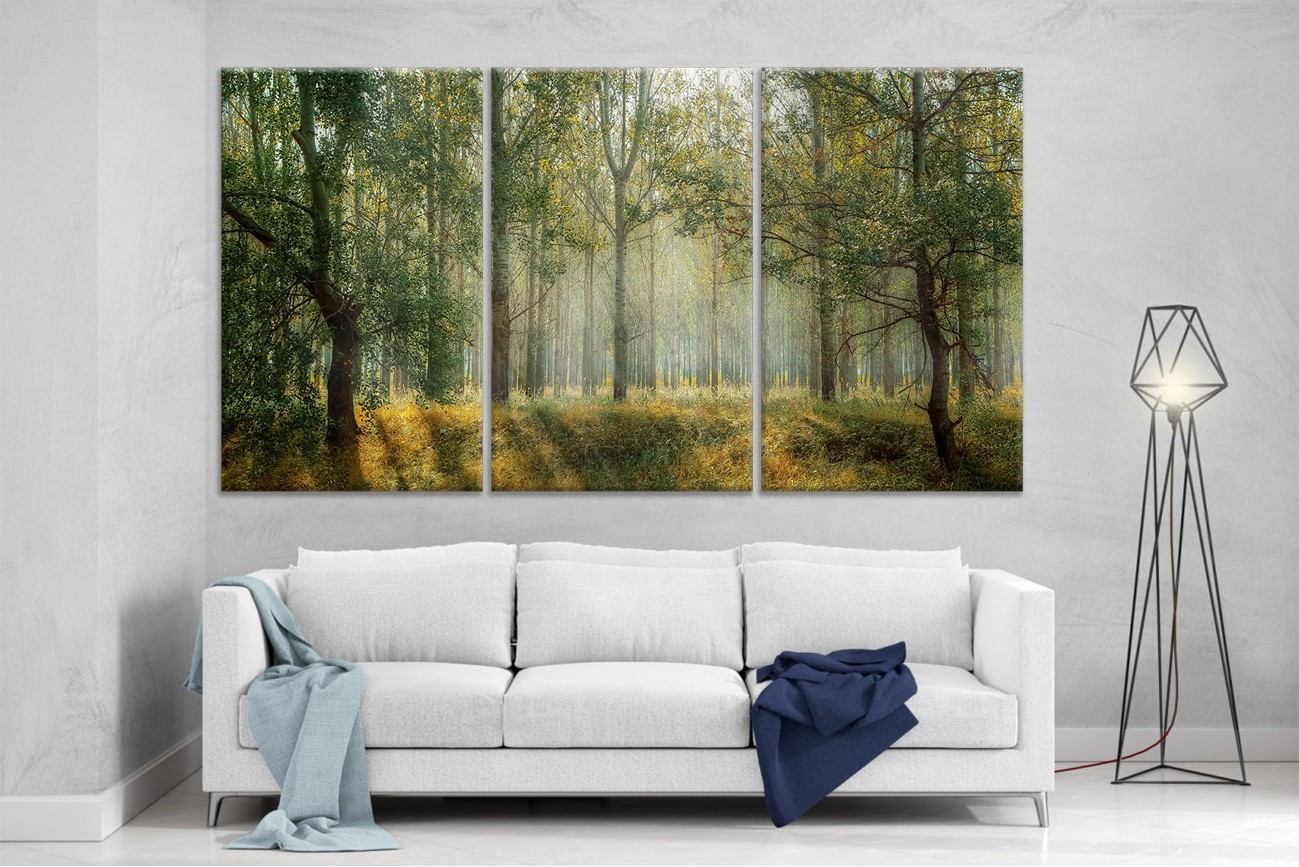 

Модульная картина на холсте DK Place из трех частей 167x99 см Березки (XL6)