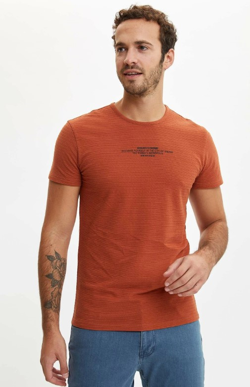 

Мужская футболка DeFacto терракотового цвета  Красная (DeF T-shirt -7061-5, Мужская футболка DeFacto терракотового цвета 3XL Красная (DeF T-shirt -7061-5)