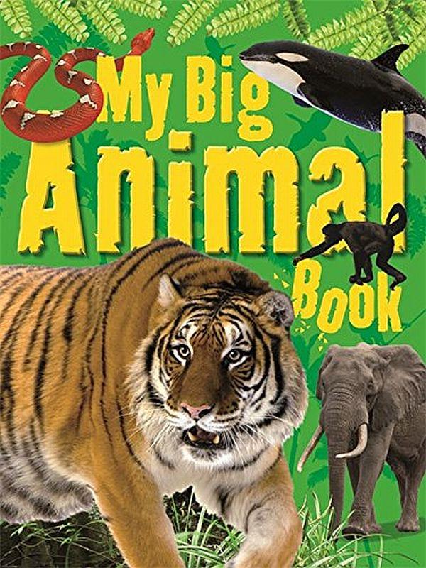 

My Big Animal Book