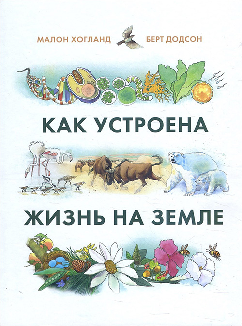 

Как устроена жизнь на Земле - Малон Хогланд (978-5-00146-937-7)
